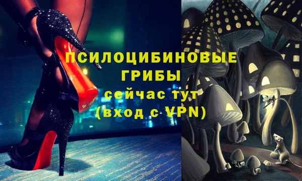 каннабис Алзамай