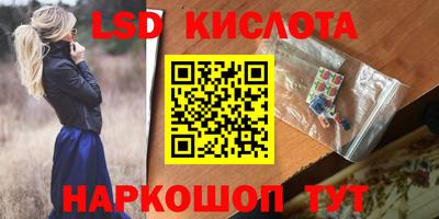 шишки Шелехов