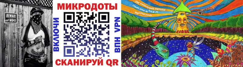 Галлюциногенные грибы Cubensis  где купить наркоту  Курган 