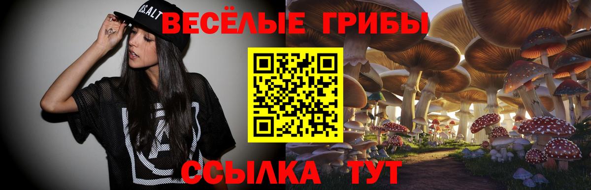 Псилоцибиновые грибы ЛСД  Псилоцибиновые грибы MAGIC MUSHROOMS  Вход с VPN  где найти   Курган 